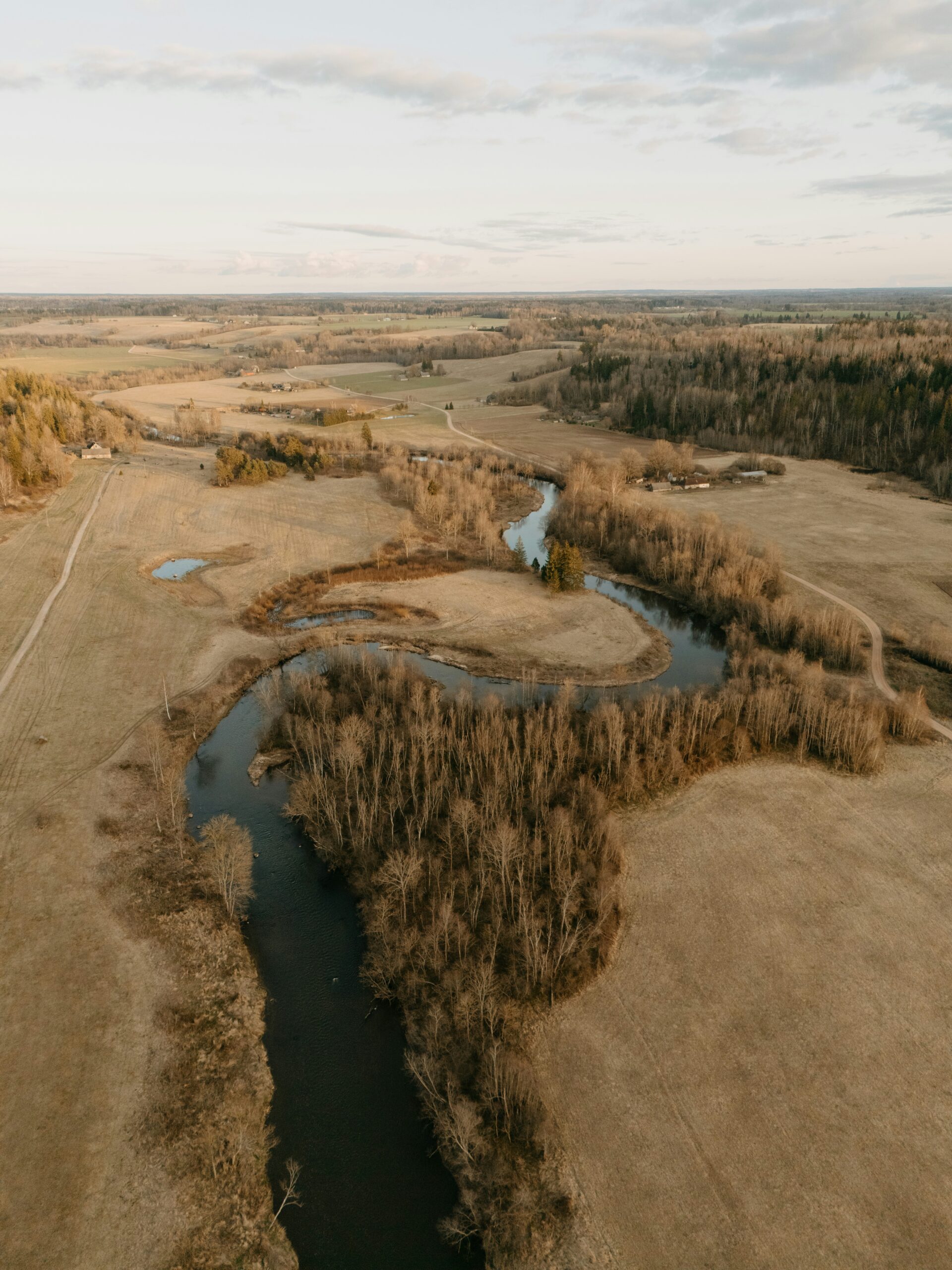 Veduta aerea di un paesaggio naturale con fiume sinuoso, campi e boschi in tonalità chiare e terrose.